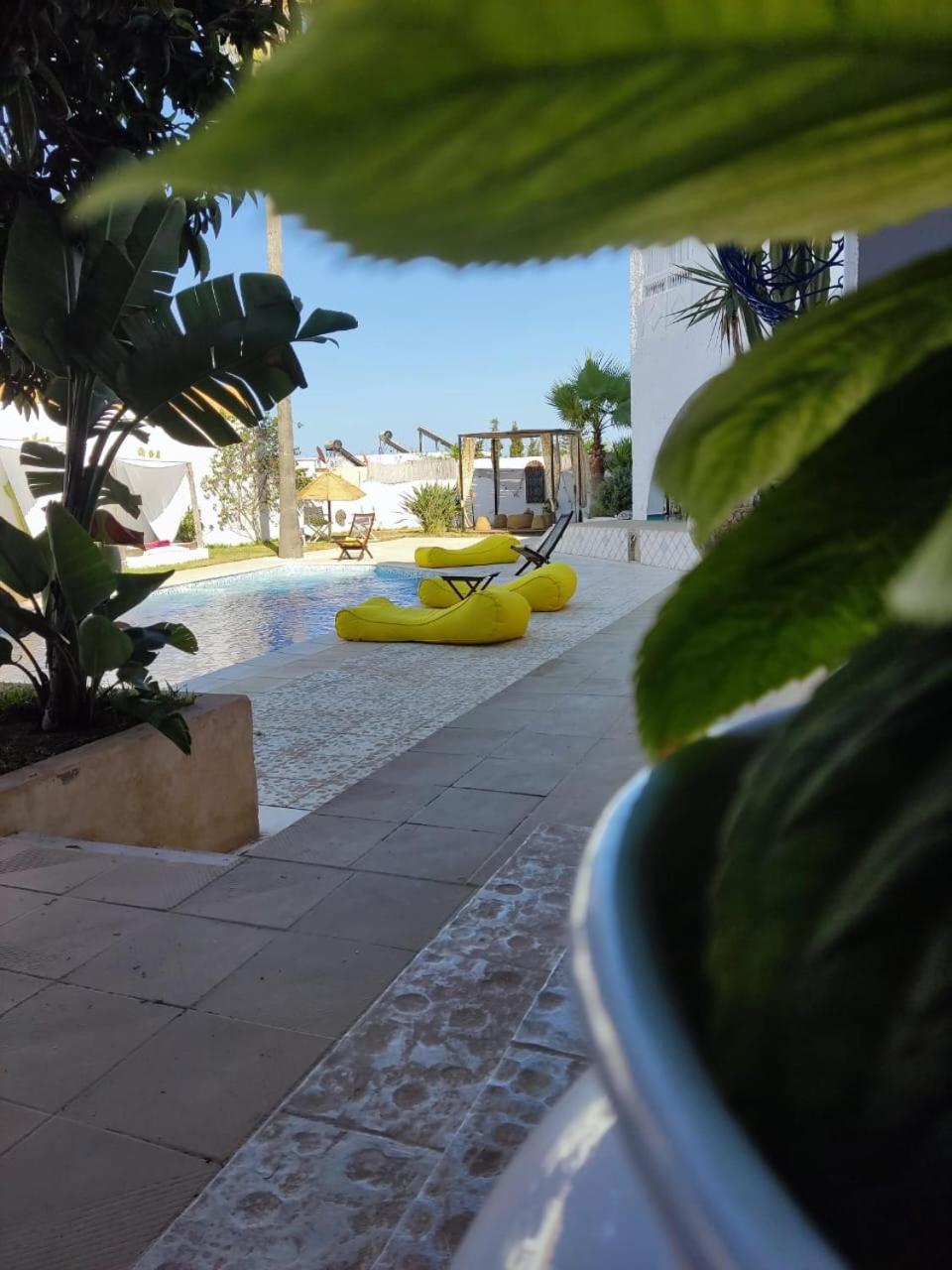 ביזרטה Dar Salama מראה חיצוני תמונה